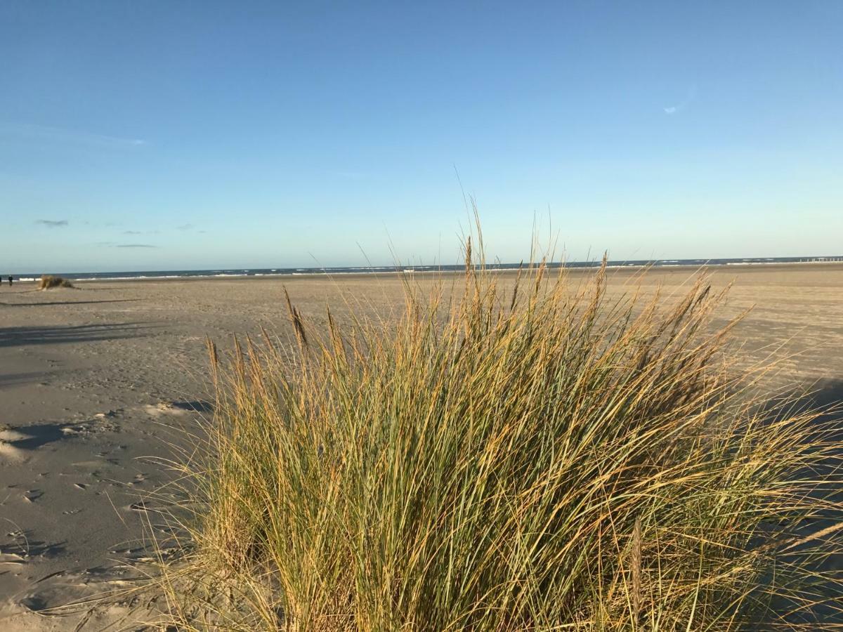 Strandlogement Om De Noord Schiermonnikoog Ngoại thất bức ảnh